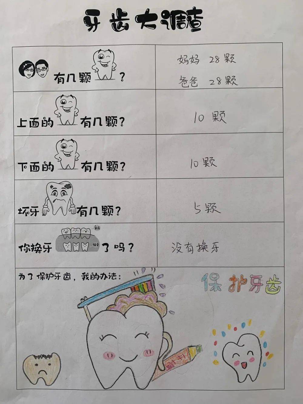 牙齿大调查最近总是有小朋友跑来说"老师,我掉牙了.