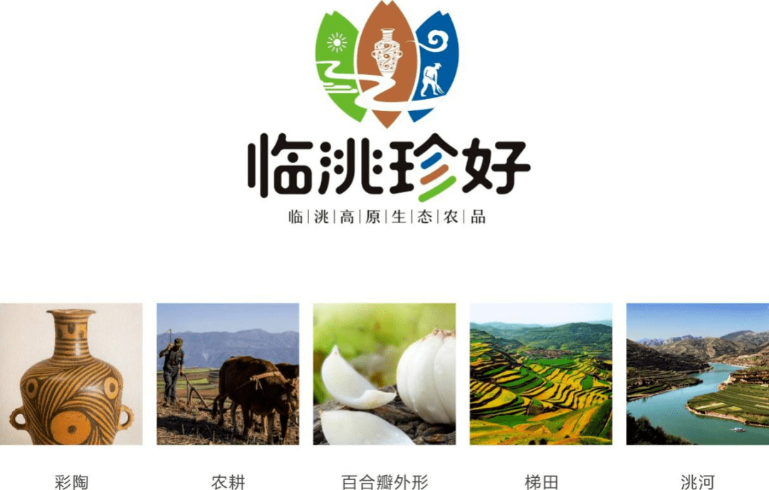 定西品牌临洮珍好用心严选