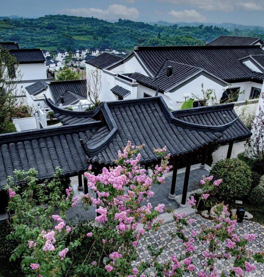 寻找"桃源境"!300万自贡人的理想生活,居然在这里._小镇_春风_项目