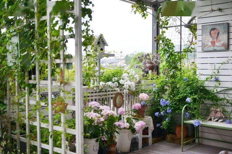 20平方米露台改造的空中花园美极了