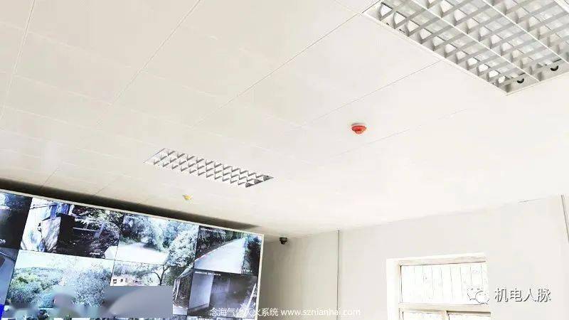 邪王绝宠医品特工妃全文免费阅读