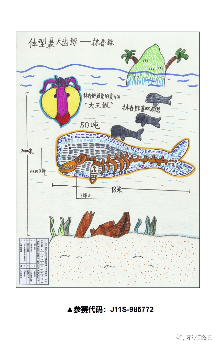 【官宣】环球自然日2021总决赛科普绘画作品赏析