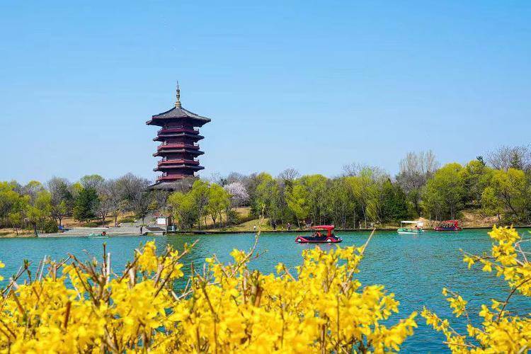 潍坊最美春天在这里