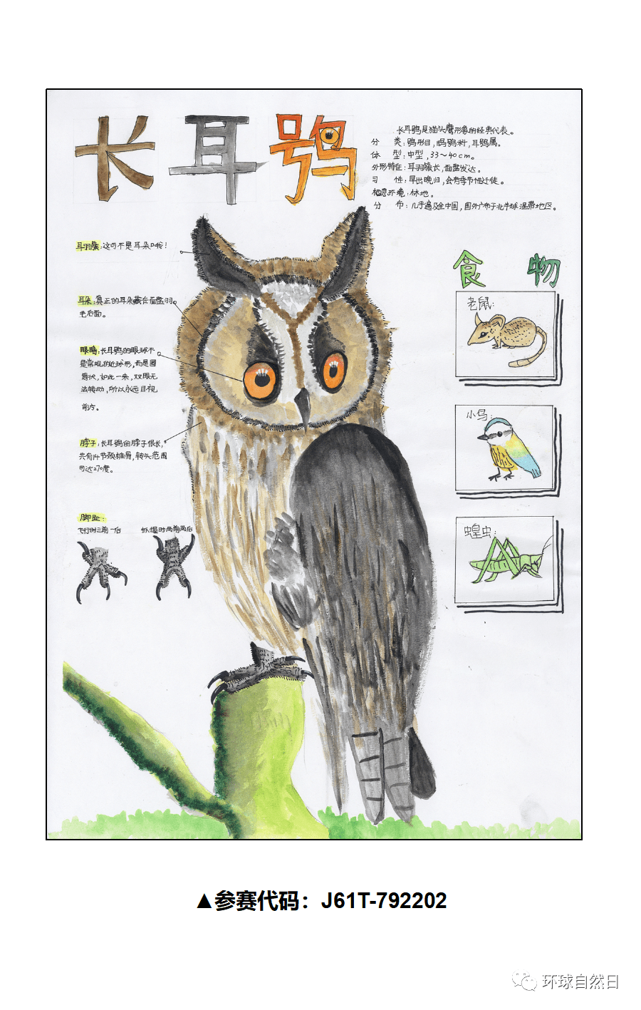 官宣环球自然日2021总决赛科普绘画作品赏析