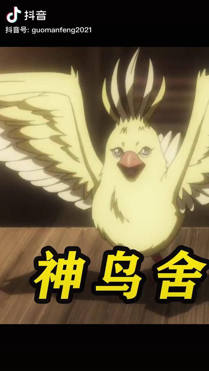鸡窝成为了穷人的宠物国风合伙人我在抖音看动漫充能计划百妖谱漱金鸟