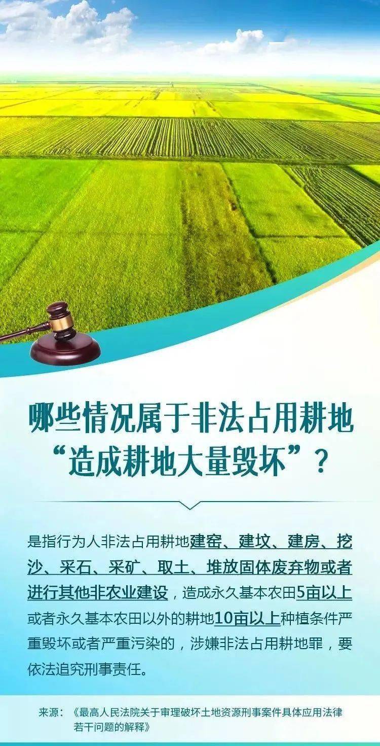 一图读懂哪些违法占用耕地行为构成犯罪