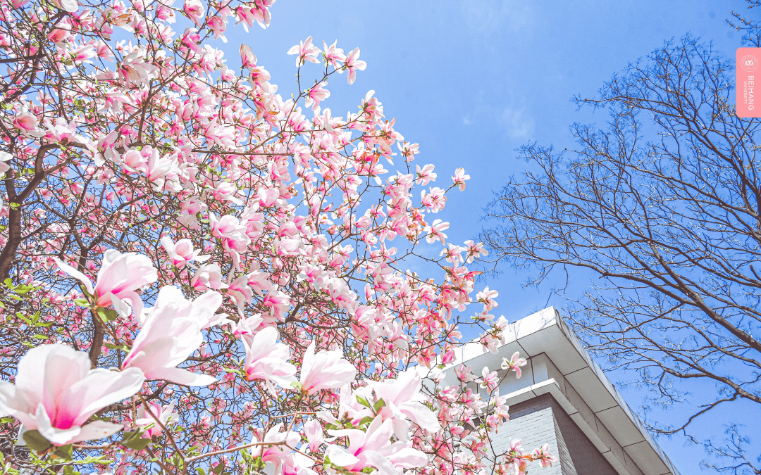最是一年春好处 满园芳菲此处寻