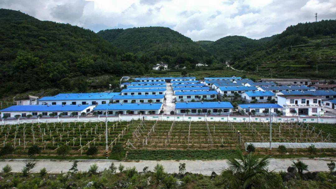 2007年11月,方荣在龙凤镇杉木坝村创办了恩施市龙凤联强农贸有限公司