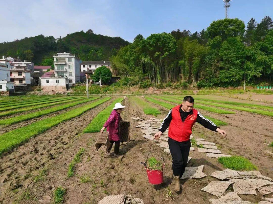 图为4月20日,江西省吉安市永新县澧田镇双江村驻村"第一书记"张铁山