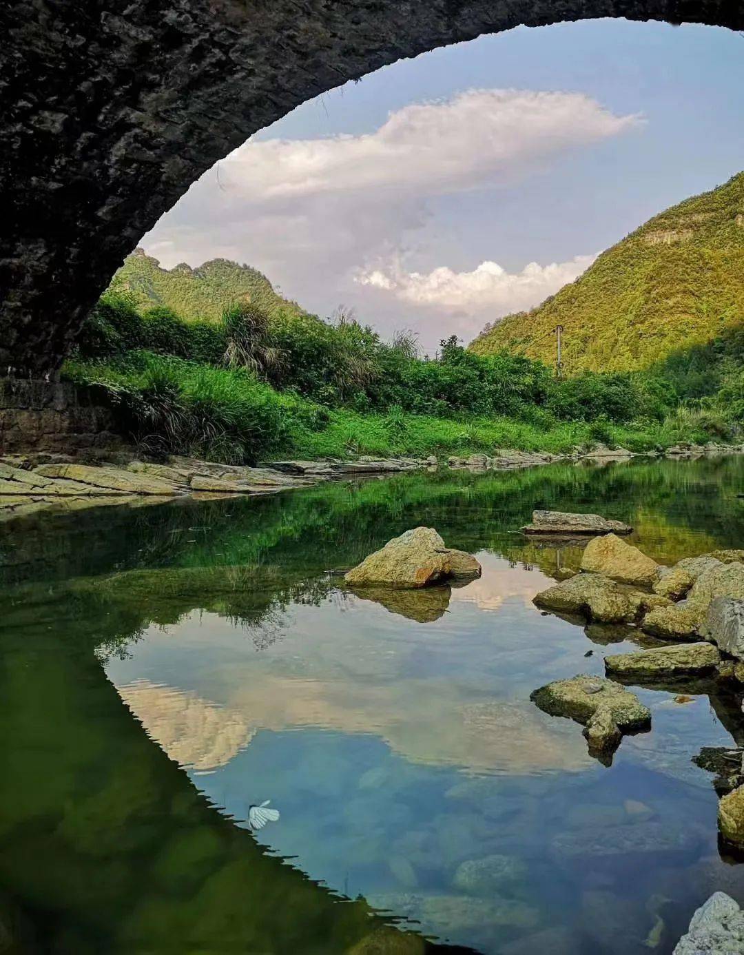 换个视角看中国粽叶之乡