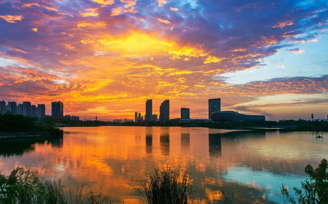 阜阳首次评选67双清湾公园67复兴大道上榜