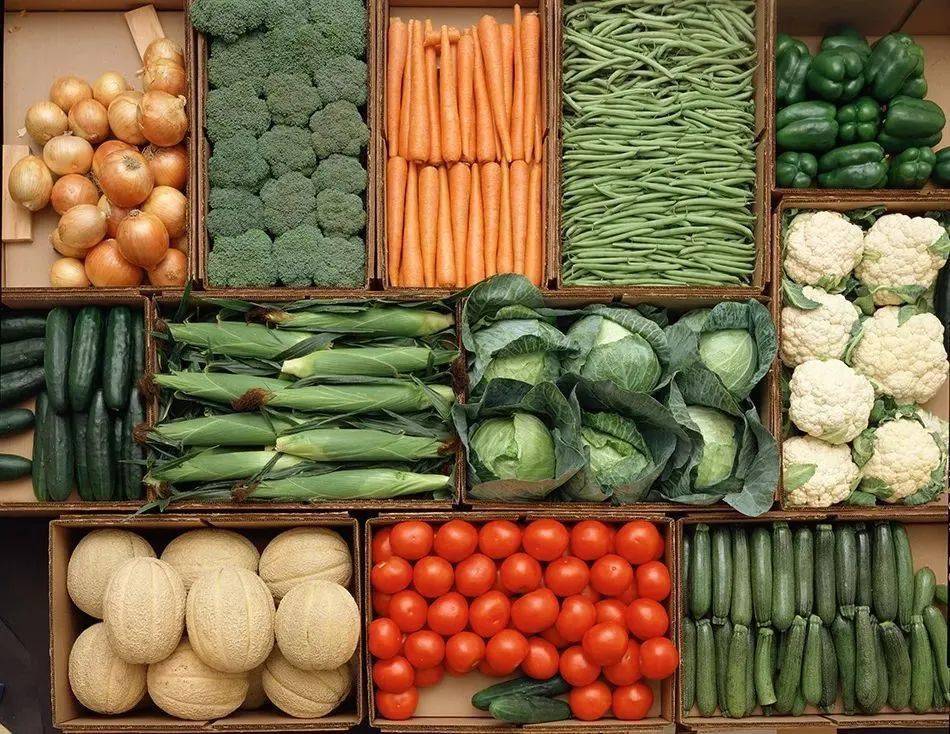 批发蔬菜新手入门教程图片高清