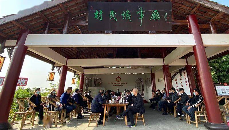 九龙镇棚花村:"有事来协商"破解产业发展难题_村民_村上_议事会