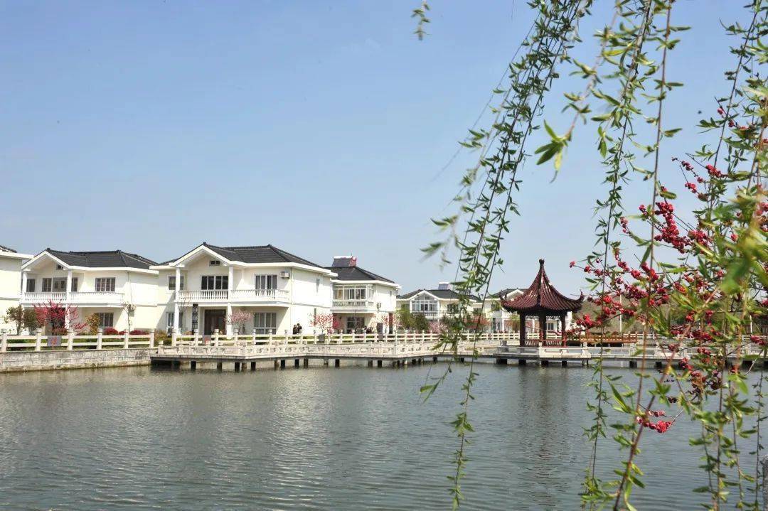 星级文明户引领新风_村民_康博_考评组