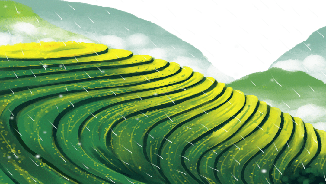 雨生百谷绘就盘龙春耕图