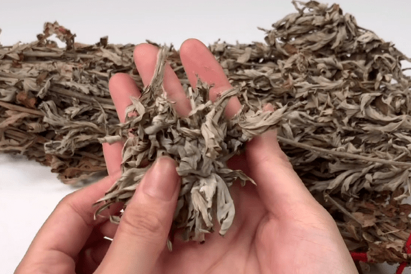 艾草烧一烧放房间里太实用了解决了不少人的困扰实用又省钱