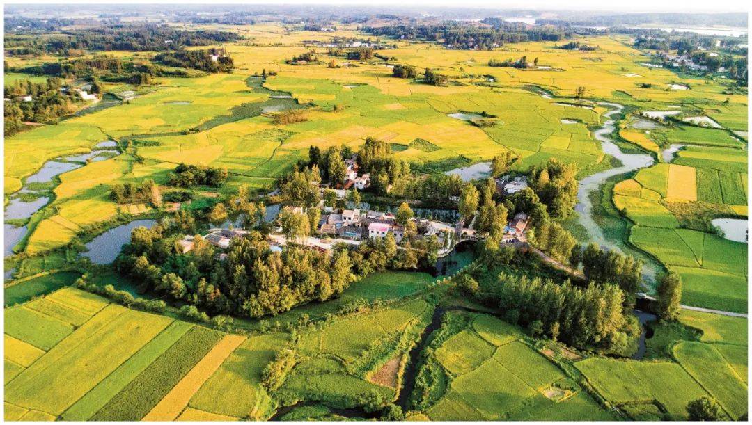 河南省乡村振兴局党组书记局长郭奎立聚力巩固脱贫成果有效衔接乡村