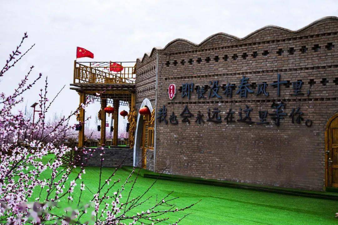 【焦点】在乡村振兴中腾飞的龙王坝_休闲_宁夏_焦建鹏