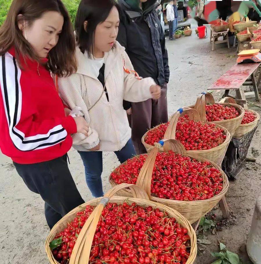 清镇市流长乡凹河村:打好"生态牌" 吃上"生态饭"