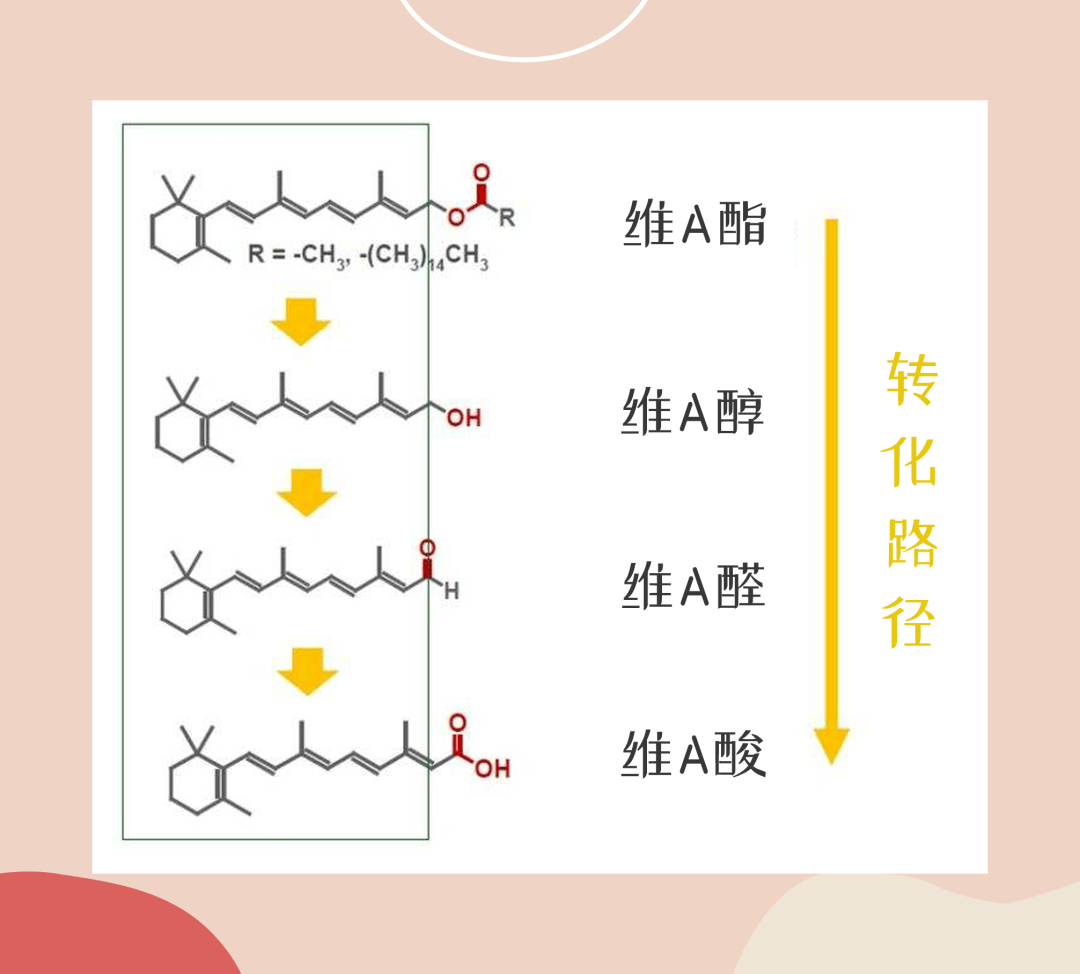 维a是个大家族,旗下包括维a酸,维a醇,维a醛,维a酯(维a酸刺激性比较强