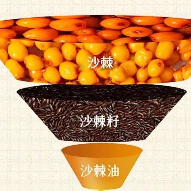 "黄金屋"是指什么？黄金屋颜如玉是什么意思