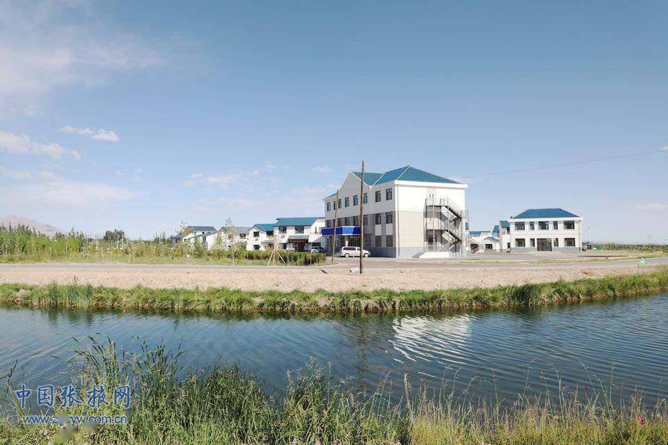 临泽县倪家营镇生态美景入画来