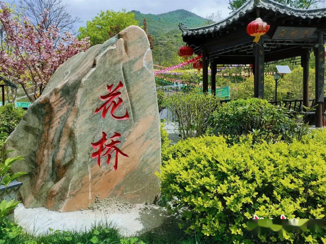 甘肃康县:打好绿色底牌 共享生态红利