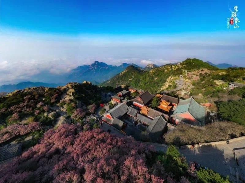 泰山这条春日徒步路线自带野生美好玩