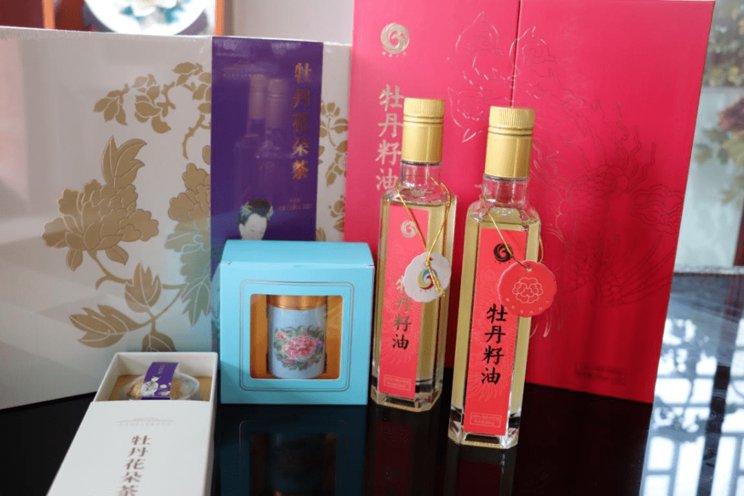 新华社:一朵花的力量"中国牡丹之都"菏泽走访记_曹州_种植_芍药