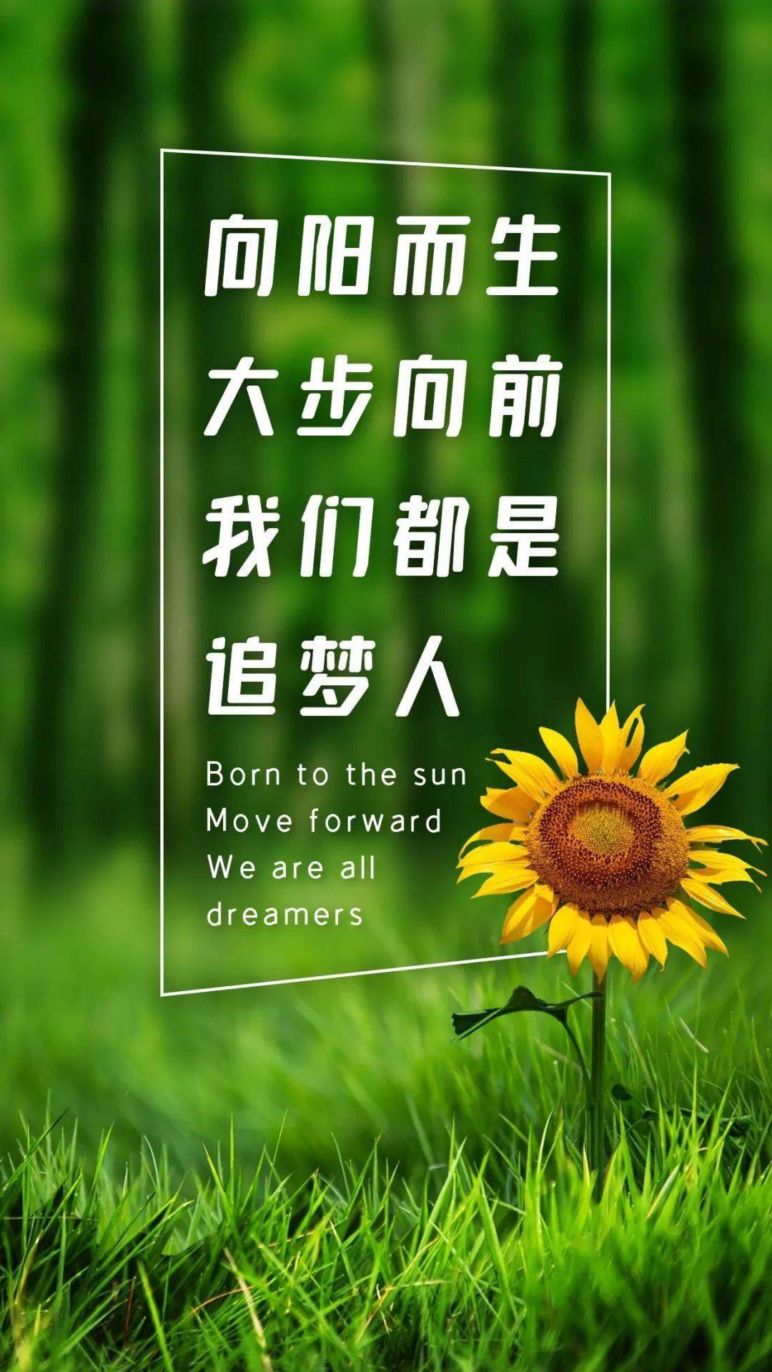 励志给力的一段早安正能量;早安_美文_路是_哲理