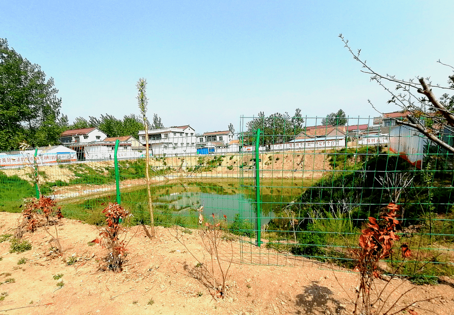 美丽乡村看鹿邑71杨湖口镇马屯村改善人居环境绘就美丽乡村新画卷