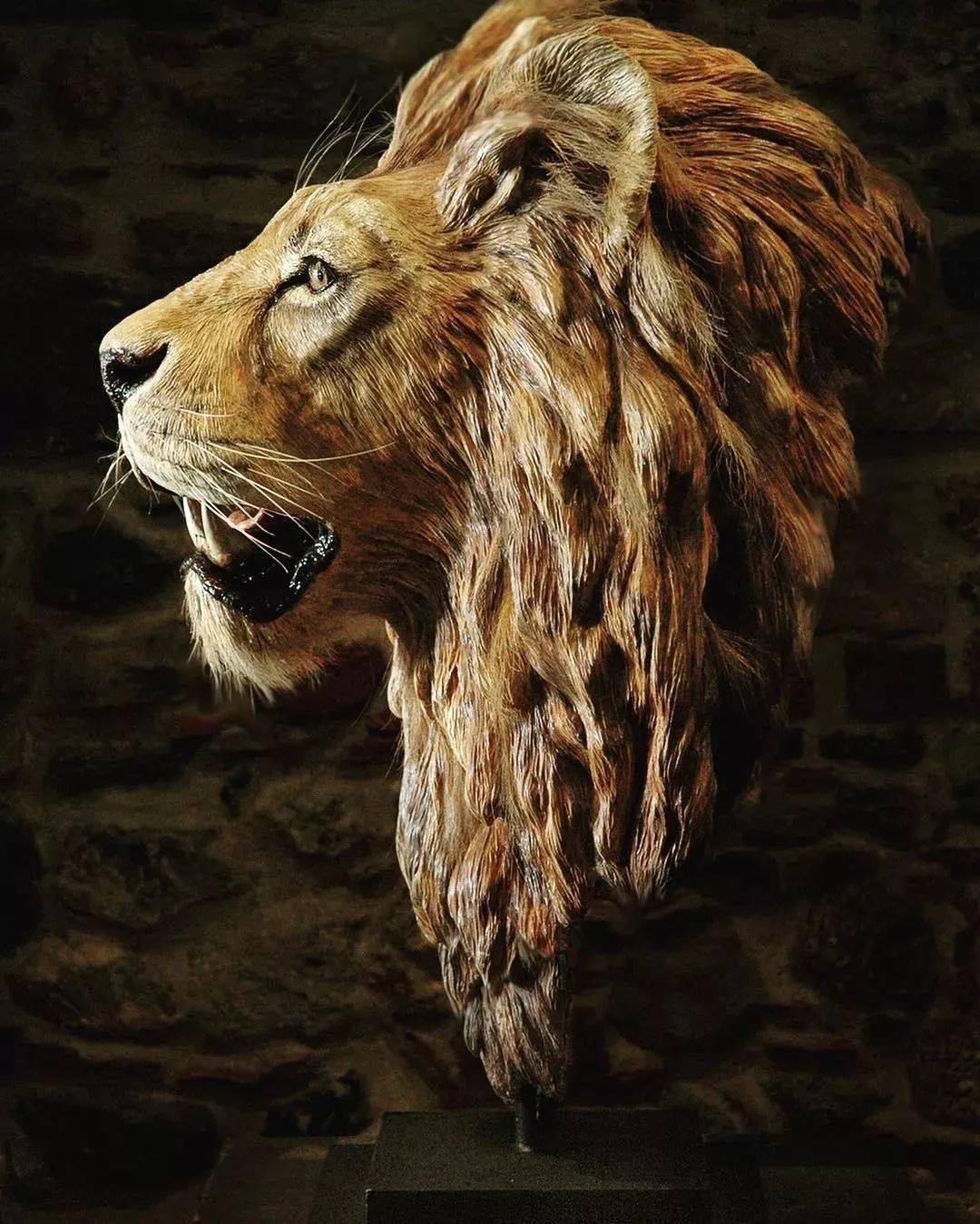 michelevitaloni超写实动物雕塑