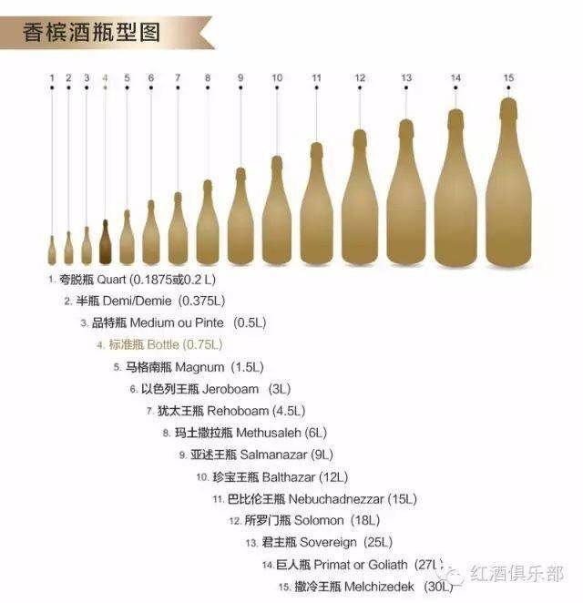葡萄酒酒瓶大全(大小篇)_标准_wine_勃艮第