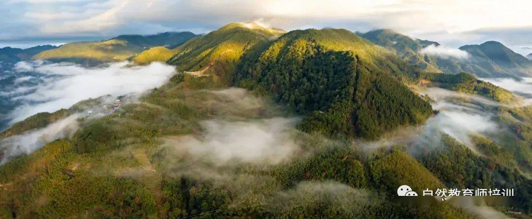 自然教育師福建第二期培訓班落戶古田梅花山