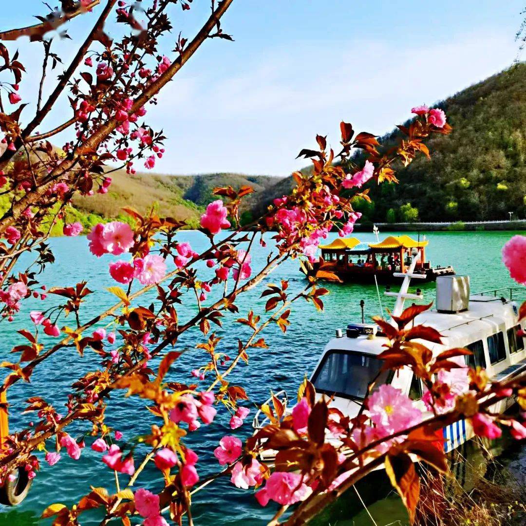 侍郎湖景区电话图片