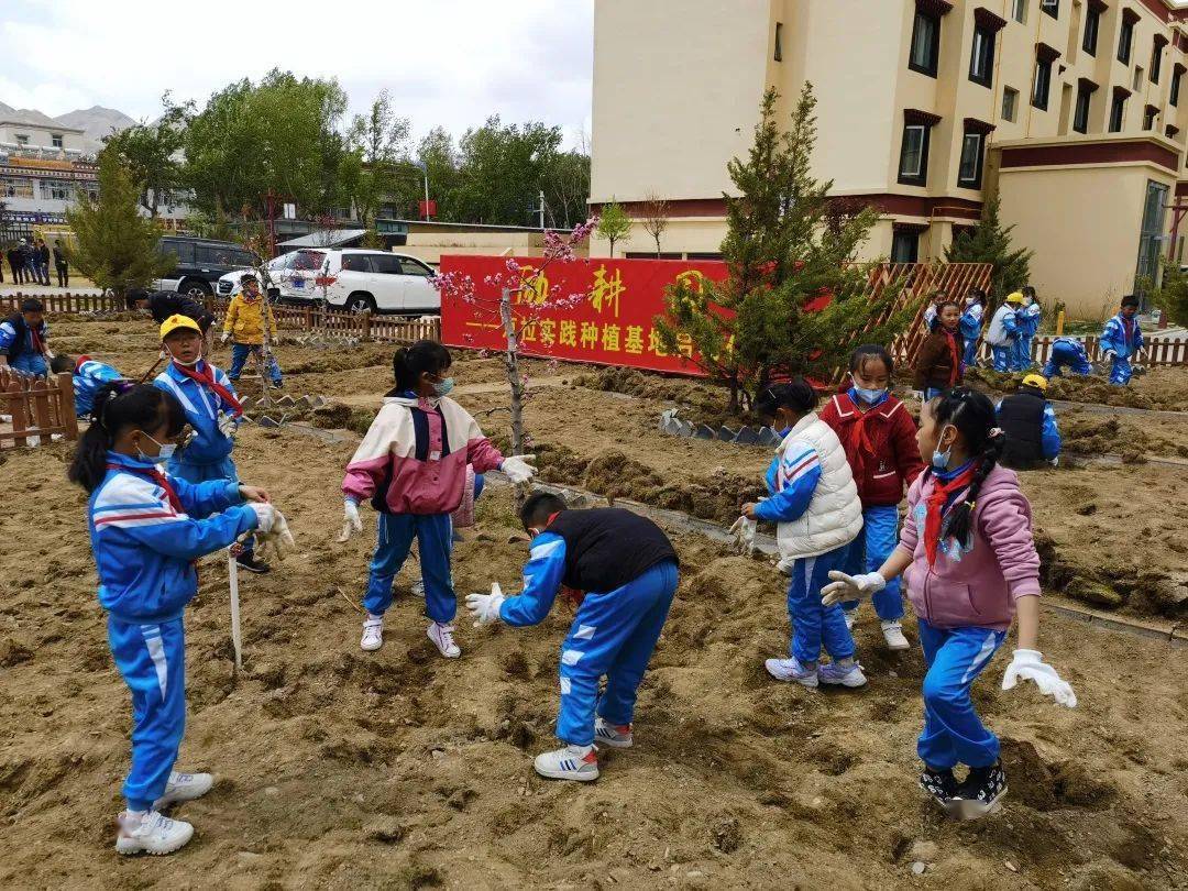 教育医疗拉萨市实验小学新增励耕园京拉劳动实践种植基地