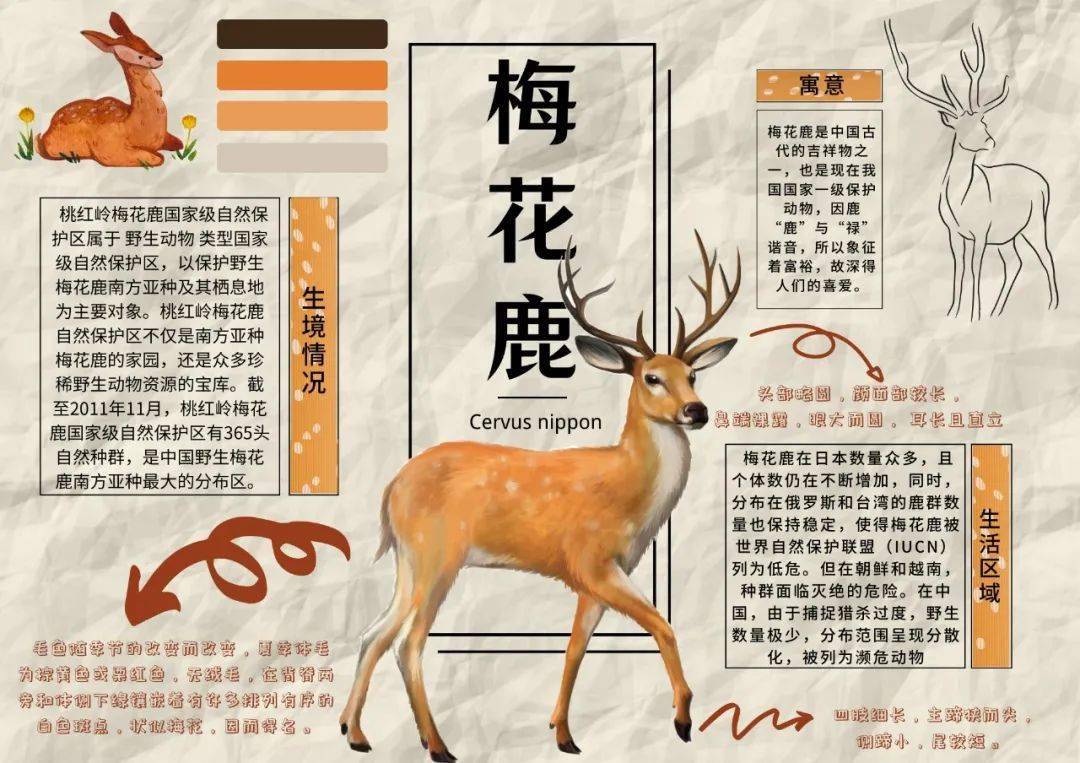 寻绿记丨东风入律送春归寻得绿意荣春晖
