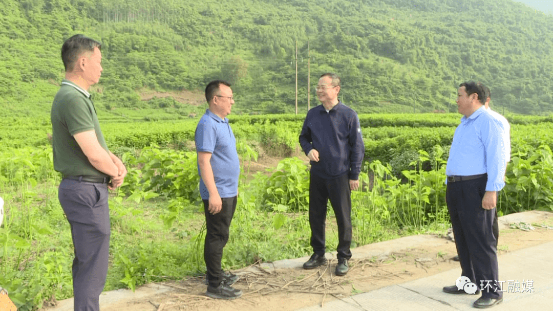 环江陈斌到河池至荔波高速公路征地现场看望慰问一线干部职工