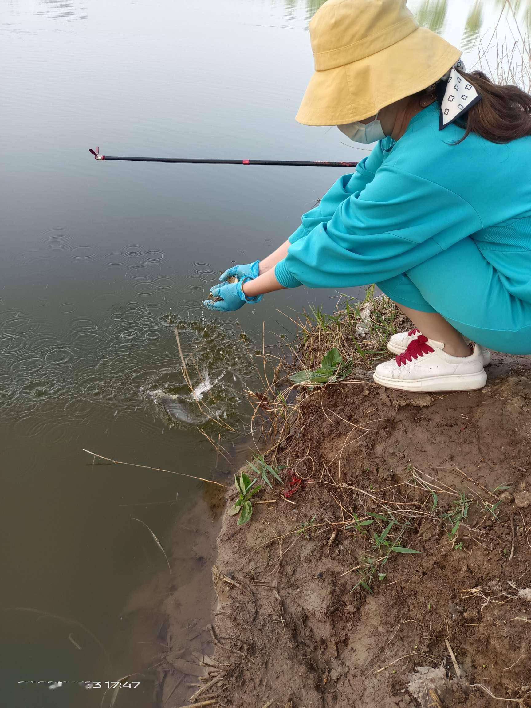 「四月魚獲」美女與蛇不期而遇,註定不平凡_老婆_傳統_鯽魚