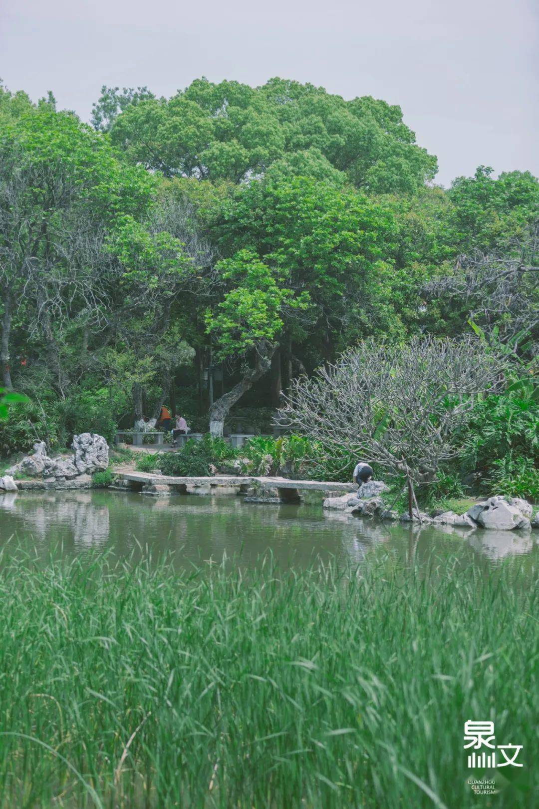 泉州的初夏,来施琅的春园里纳凉_四季_红砖_芳草地