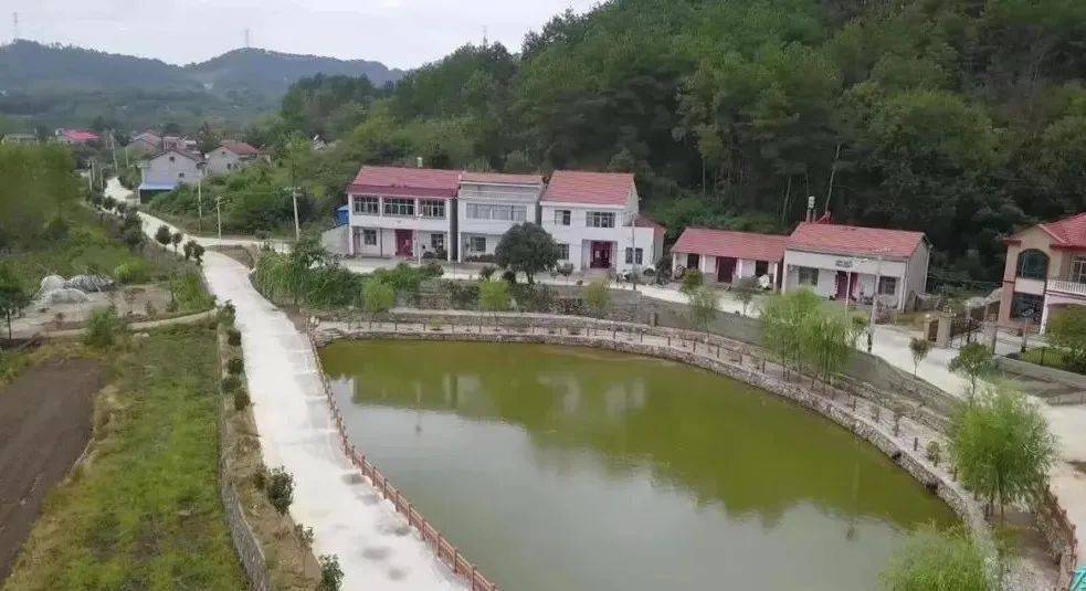 先锋风采马曹庙镇朝阳村支部书记姚红刚当好乡村振兴的领头羊