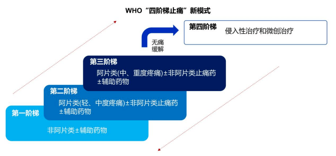 如阿司匹林,二阶梯药物是弱阿片类药物,如可待因,三阶梯药物是强阿片