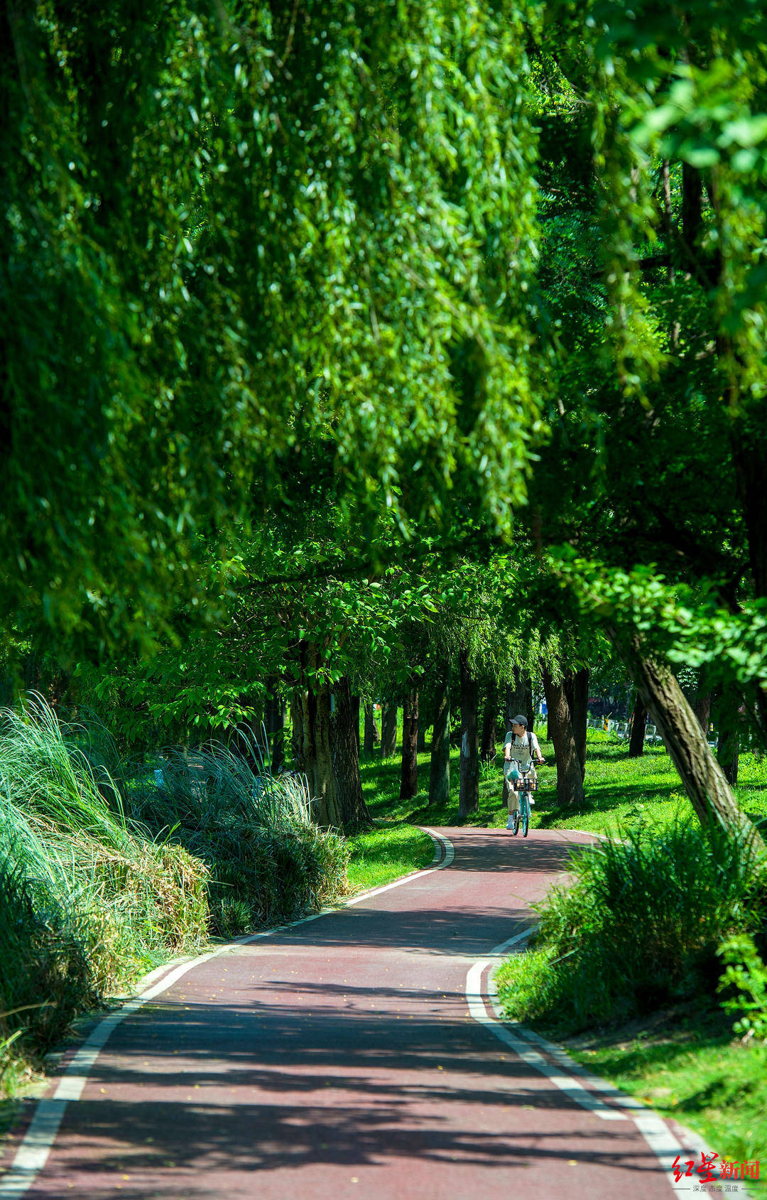 杨伟民撰文谈公园城市示范区建设中国特色现代化城市发展道路的全新