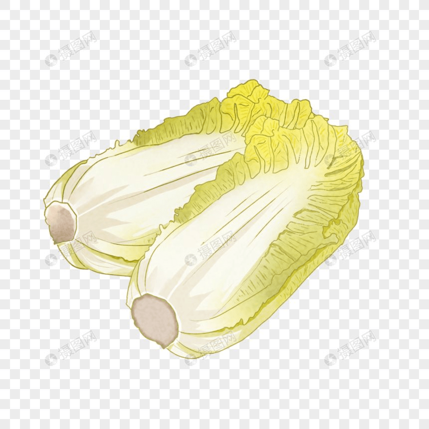 打卡丨美食插画54:美食插画