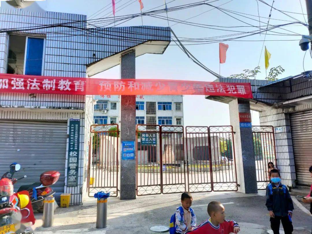 南充顺庆区大林镇