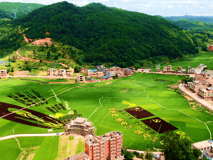 他山之石丘北县平寨乡全力打造美丽集镇促四花绚丽绽放