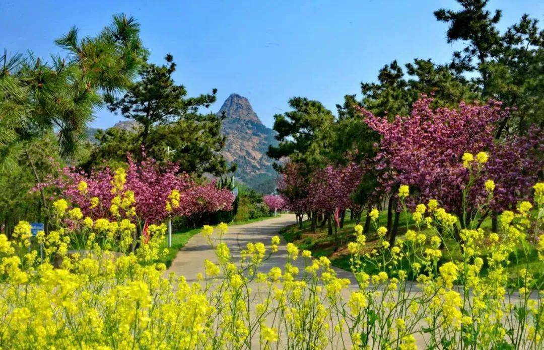 威海大乳山景區開園啦