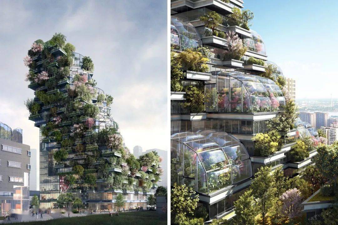 中国首个垂直森林住宅,迎来第一批住户_米兰_埃里_植物