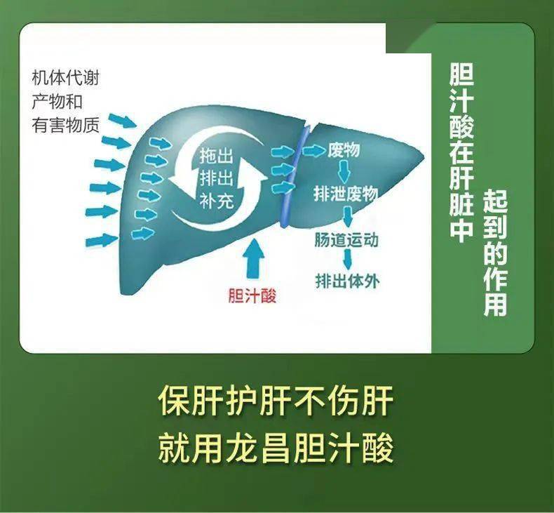 保肝护肝龙昌胆汁酸