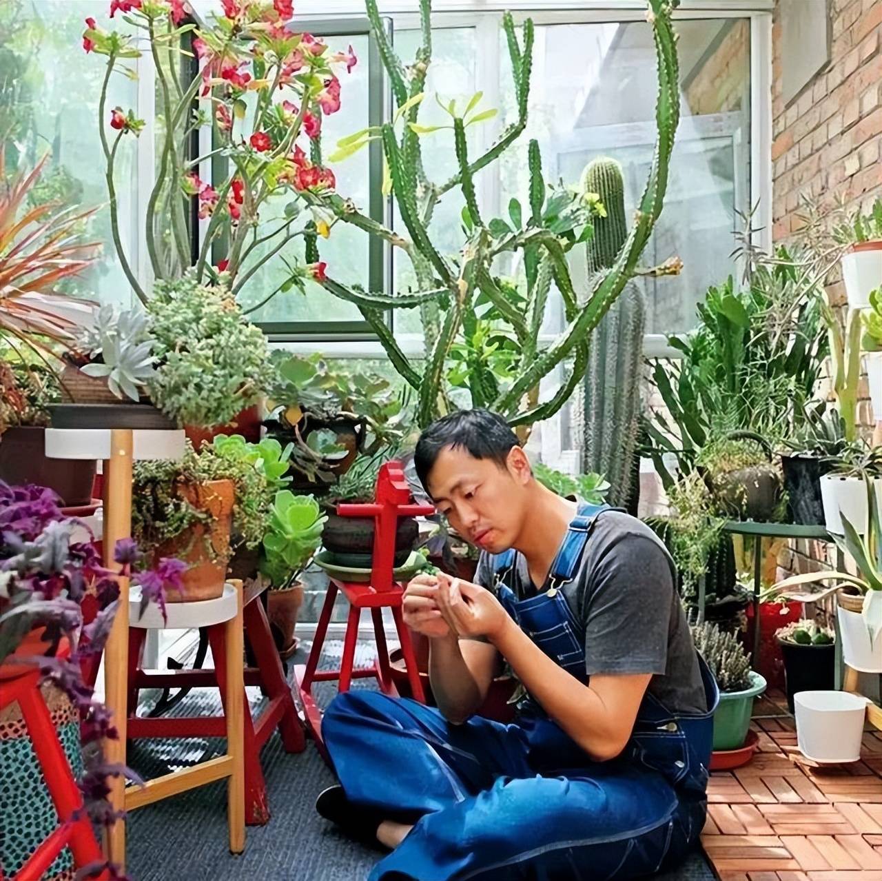 从"水哥"到"宝藏男孩",王昱珩活成了别人羡慕的样子_植物_自然_作品